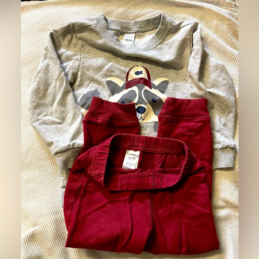 Carter’s Racoon Sweatshirt Set, Size 4T - Picture 3 of 4